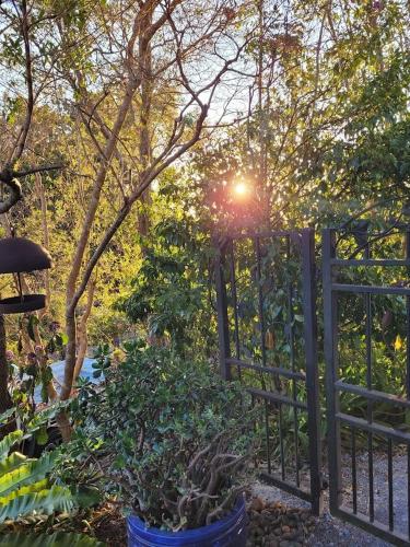 Jardin Tiny House Australia