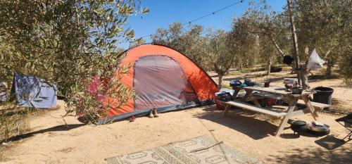 Surrounding environment, חוות נועם במדבר - noam farm in Mitzpe Ramon