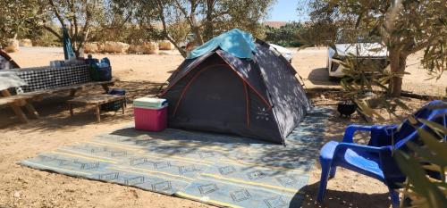 Exterior view, חוות נועם במדבר - noam farm in Mitzpe Ramon