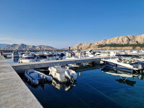 Apartment Bebek Gorica - image 11