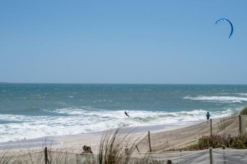 3 Manhattan On Coral