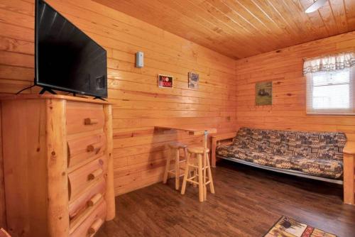 Gatlinburg Cabin Near Ripley's Aquarium - image 11
