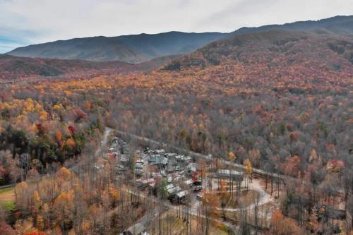 1BR Cabin in the Smokies Close to Gatlinburg - image 4