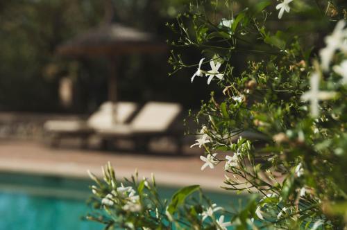 Fincahotel Can Estades - image 14