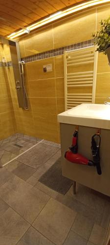 LOGE DE L'OPERA - image 4