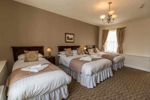 White Lion Royal Hotel, Bala (foto 11)