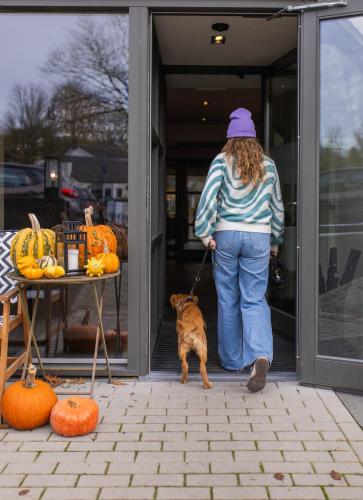 Hotel Appartementen SlenakerHof - image 5