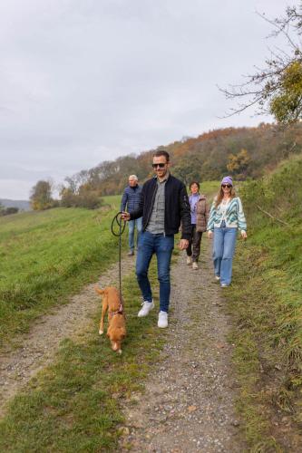 Hotel Appartementen SlenakerHof - image 6