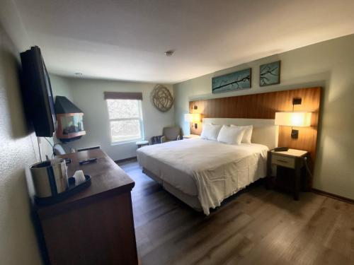 Standard King Room