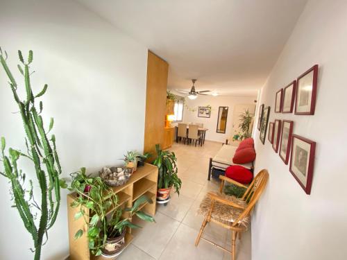 One-Bedroom Apartment image 7