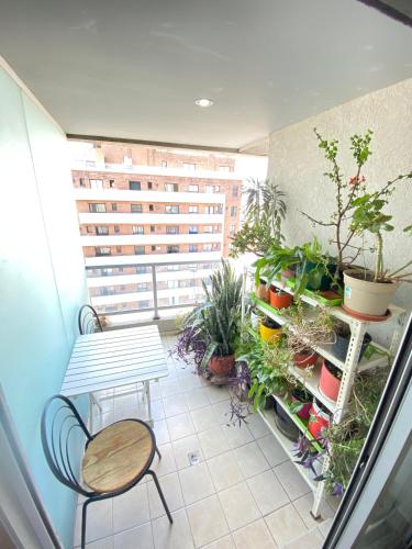 One-Bedroom Apartment image 6