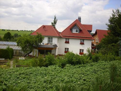 Willekes Blütenhof - image 9