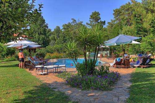 Dalya Life - image 12