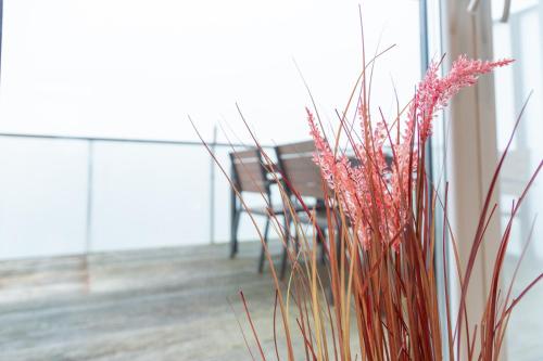 MiCasa OL - Modernes Penthouse - Stellplatz - Küche - WLAN - Dachterrasse - E Ladesäule 100 Meter entfernt in Oldenburg, Deutschland