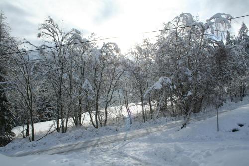 Almchalet, Stadl an der Mur (photo 5)