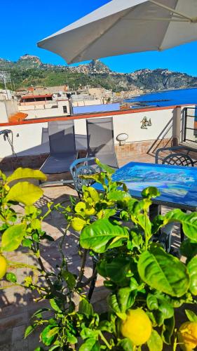 Panoramic Terrace Room Room Type - One-Bedroom Apartment