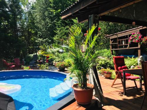 PETIT COIN DE PARADIS in Saint Anne Des Lacs (QC)