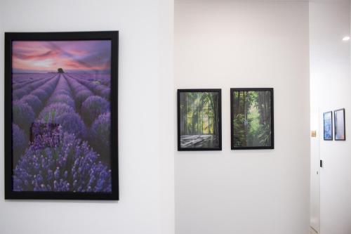 Green Garden, Řím (fotografie 8)