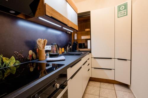 Kitchen, janu-homes - 2 Zimmer Apartment - 5 Betten, Schlossblick vom Romer in Runkel