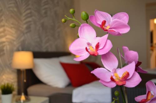 Beautiful Apartments in Prague - image 4