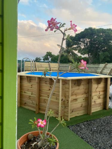 Jardim, Gîte Le plantain Votre Escapade rêvée (Gite Le plantain Votre Escapade revee) in Capesterre-de-Marie-Galante