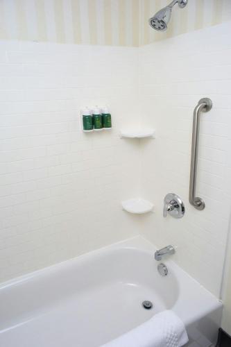 Fairfield Inn & Suites by Marriott Millville Vineland - image 2