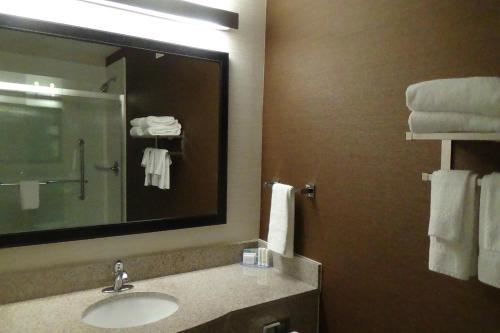 Fairfield by Marriott Inn & Suites Atlanta Buford/Mall of Georgia - 화장실