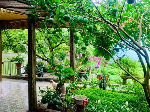 Blue Garden Homestay