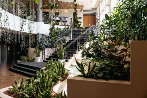 Mercure Sydney Parramatta - image 2