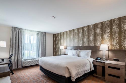 Fairfield by Marriott Inn & Suites St. Joseph Stevensville in Stevensville (MI)