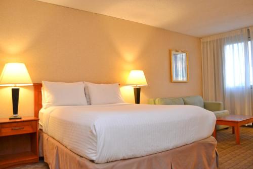 Standard  Room room in Amenida Residences Calgary