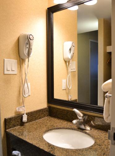 King Room room in Amenida Residences Calgary