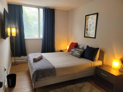 Stylish, Cozy, Well-equipped Apt in Braintree MA in Braintree