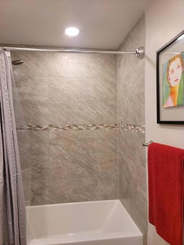 Stylish, Cozy, Well-equipped Apt in Braintree MA Stylish, Cozy, Well-equipped Apt in Braintree MA