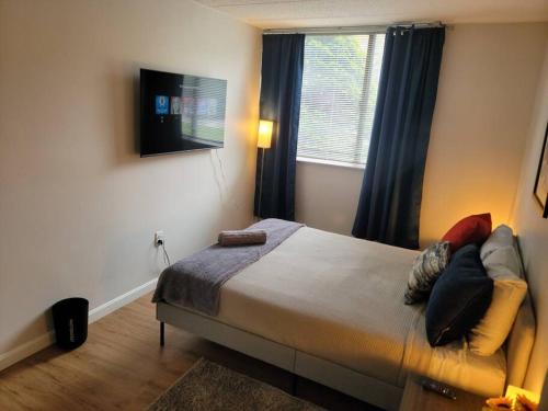 Stylish, Cozy, Well-equipped Apt in Braintree MA Stylish, Cozy, Well-equipped Apt in Braintree MA