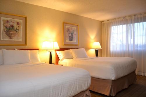 Amenida Residences, Calgary Room Type - Queen Room with Two Queen Beds