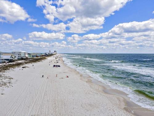 Sea Salmon – Gulf Shores, AL