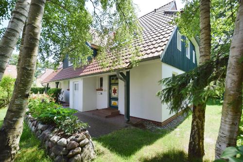 Muschelsucher Haus II 4 - image 2