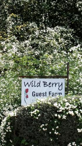 Wild Berry Guest Farm