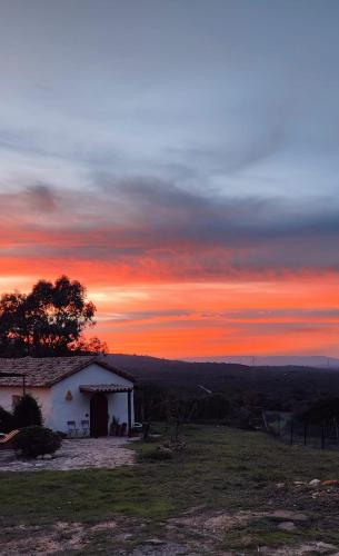 Complejo Rural Quesería Molino Dorado gîte à louer Puertollano