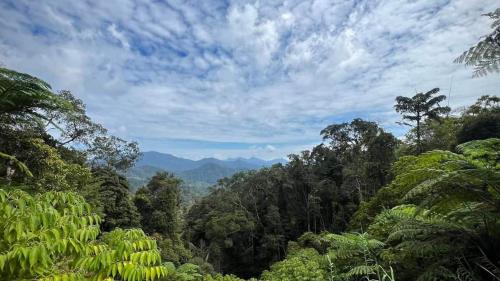 ブキット・フレーザー ComfyHomeB3-3A-1 At Silverpark Resort (walkup) 3つ星 ゲストハウス レストラン