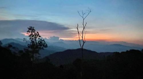 ブキット・フレーザー ComfyHomeB3-3A-1 At Silverpark Resort (walkup) 3つ星 ゲストハウス 施設