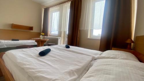 LODENICA - Hotel and Restaurant in Liptovsky Mikulas