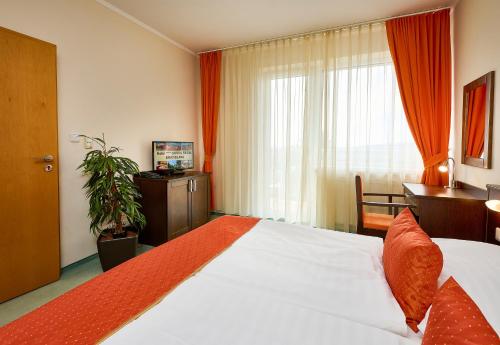 Hotel SOREA REGIA - image 8