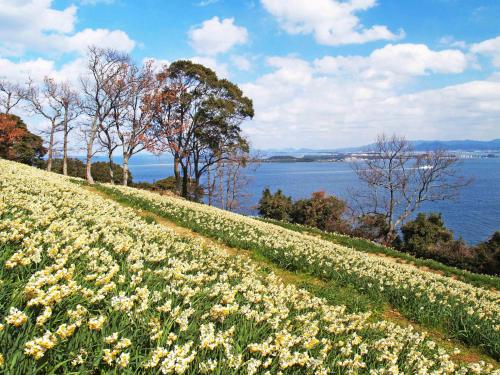 Nokoshima Island Park Villa Sakimori의 주변 풍경사진