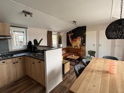 Vakantiepark Schouwen in Hoogenboomlaan