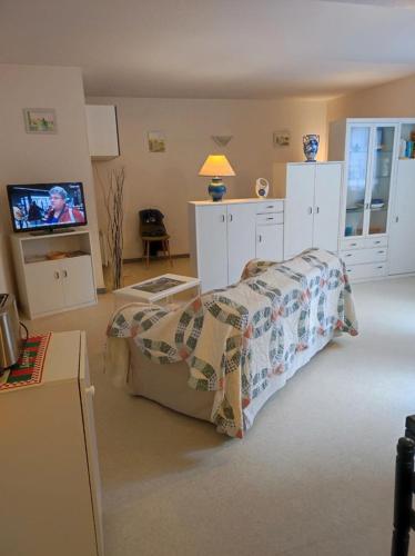Grand Studio Balcon Parking Privé classé 1 étoile Aulus les Bains (Grand Studio Balcon Parking Prive classe 1 etoile Aulus les Bains) in Aulus-les-Bains