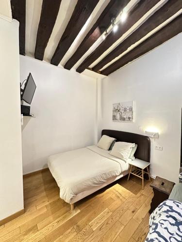 St Paul Marais Flat Ground Floor - image 4