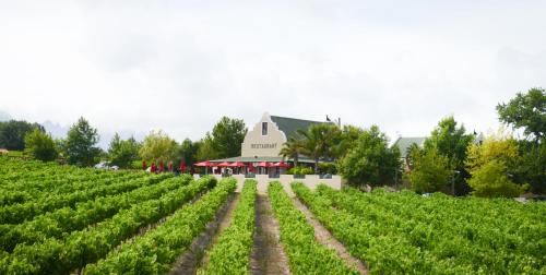 Skilpadvlei Wine Farm Stellenbosch