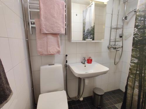 Appartment close to center in Luostarinmaki